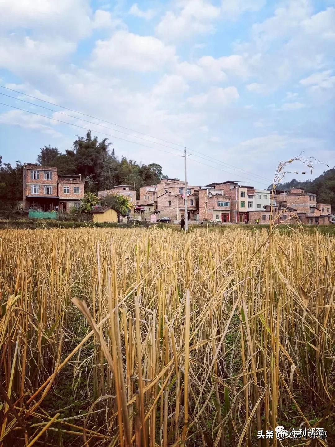 广西河池照片,广西河池图片大全