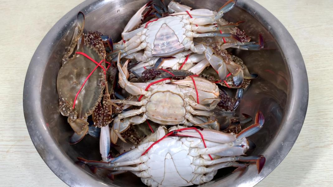 螃蟹保存,教你一招!放10天都新鲜,中秋不用再花高价买着吃了