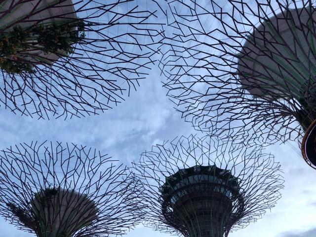 新加坡经典一日游,新加坡一日游必去景点