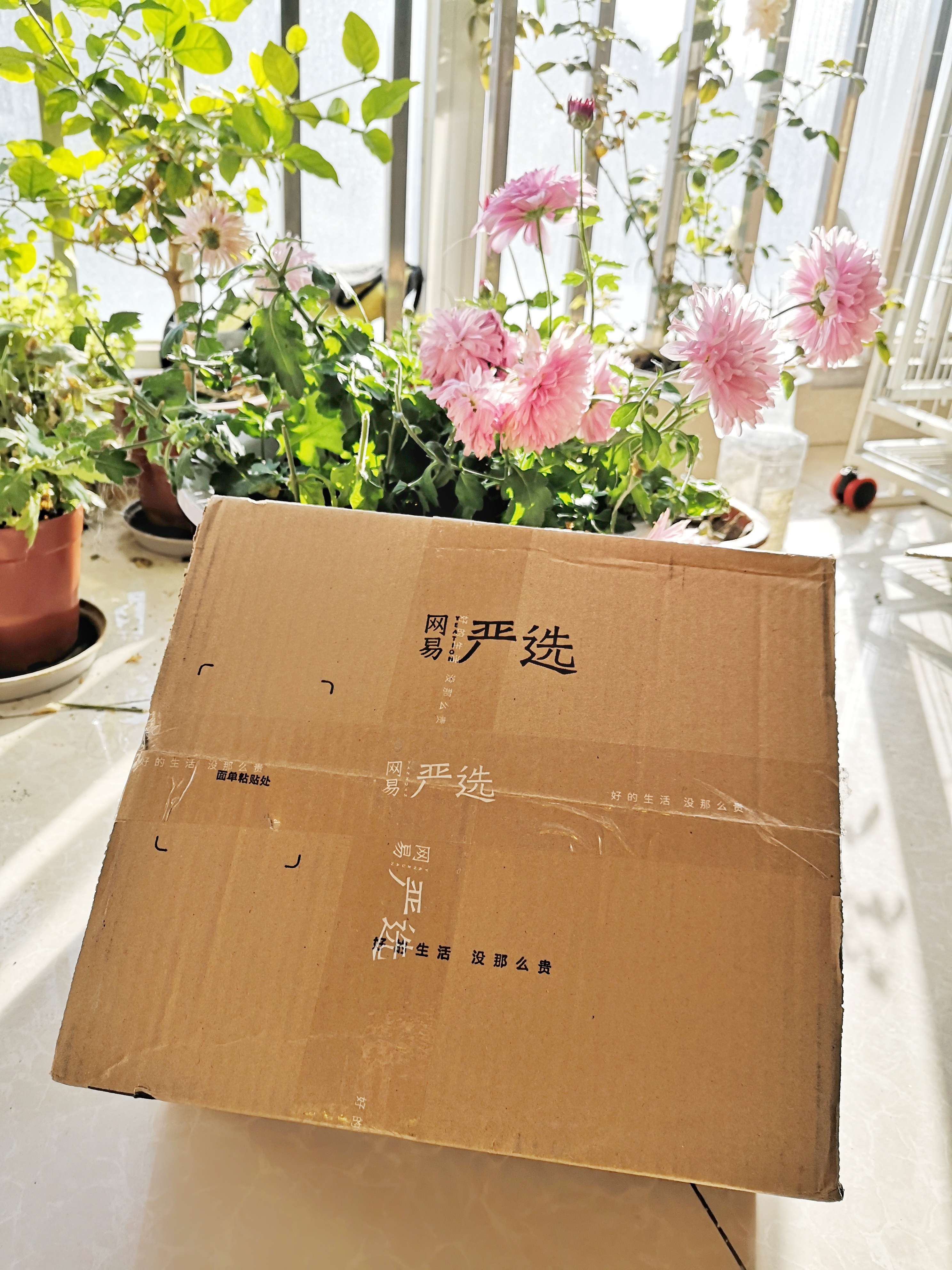 网易严选猫咪零食罐头,零食礼包猫咪网易严选