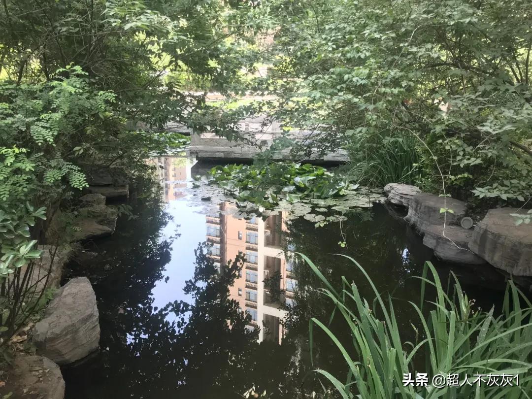 石家庄园林景观最好的小区：一流学区，江南水景，交房超过十年