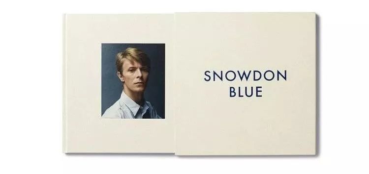 2025年流行元素,2020年流行格子元素