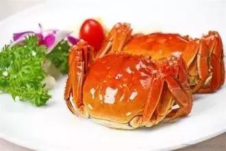 寿光羊口海鲜什么时间去合适,寿光羊口开海时间