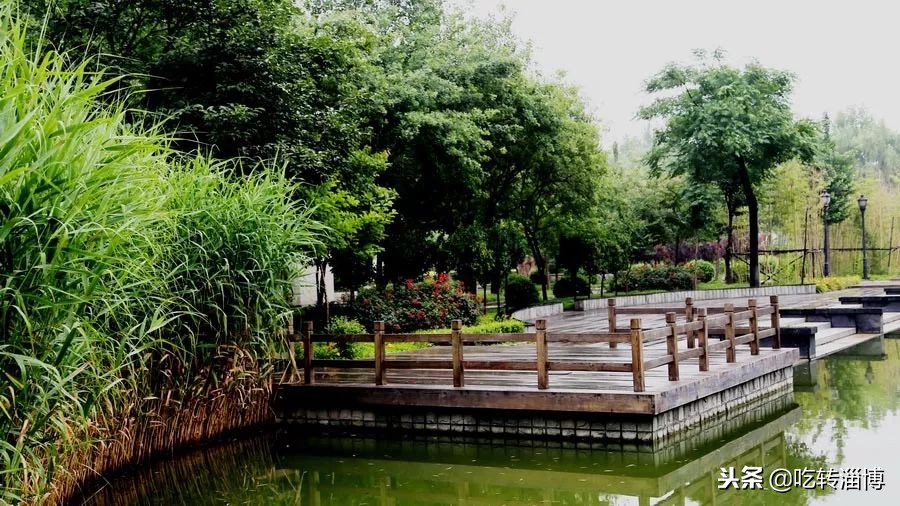 淄博第一所中学,淄博实验中学排名榜