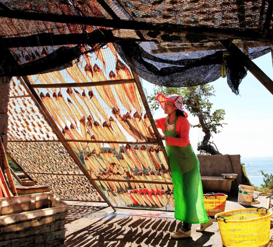 浙江冬天哪里风景最美,浙江冬天风景图片