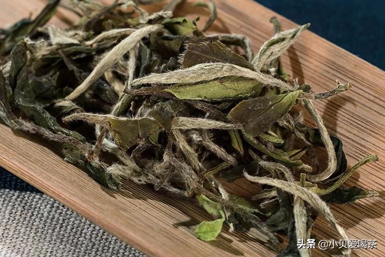 茶毫多的茶叶等级比较高,茶叶茶毫多与茶毫少的区别是什么