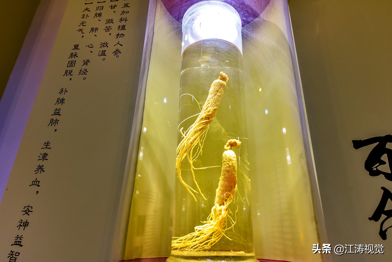 走进劲牌一场触及酒魂的健康文化,劲牌酒文化