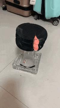 干掉蚊子的100种方法,消灭蚊子的100种方法第24种