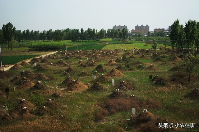 别人迁了我的祖坟怎么办,祖坟让别人迁出怎么办