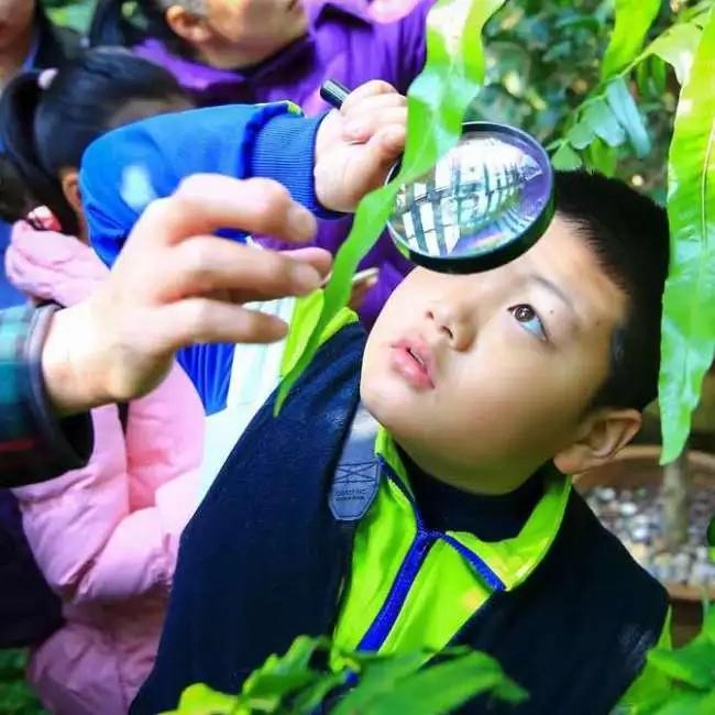 彩虹桥广东深圳,深圳市彩虹桥在哪里