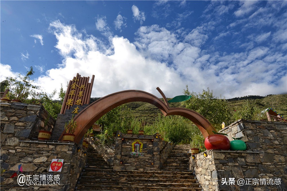 夜色成都串串爽，魅力小金苹果香#国庆中秋趣哪玩#