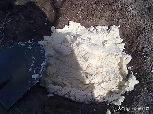 12月底，学会自制3种“营养土”，来年换盆肥效足、土壤疏松透气