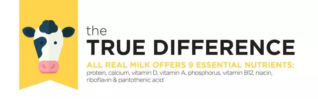 澳洲奶粉真实事件,澳洲牛奶真实情况