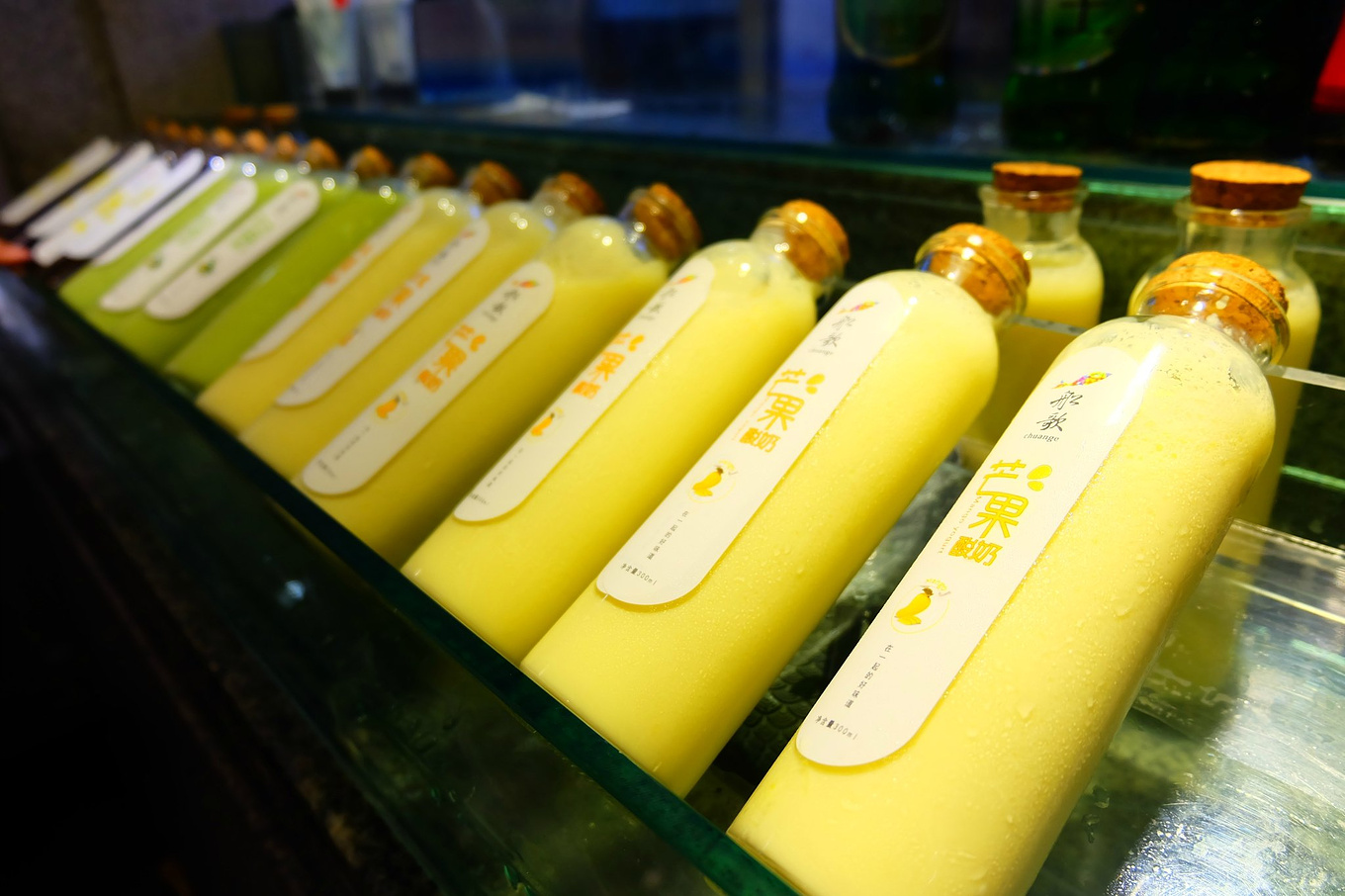 骆驼青岛,骆驼旅行在路上