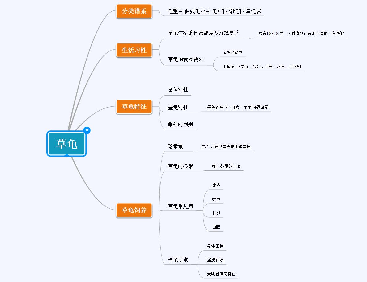 百龟图片,百龟高清图片大全