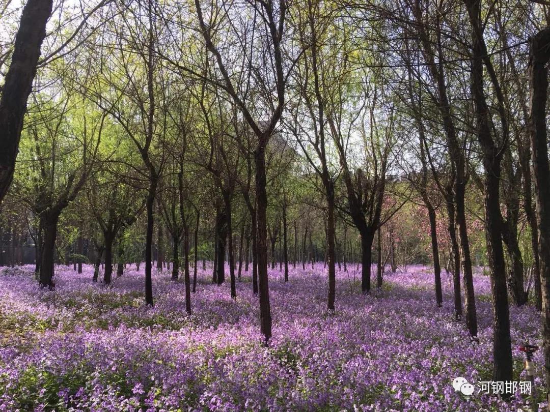 娌抽挗閭挗閾佽矾,娌抽挗閭挗楂樼倝