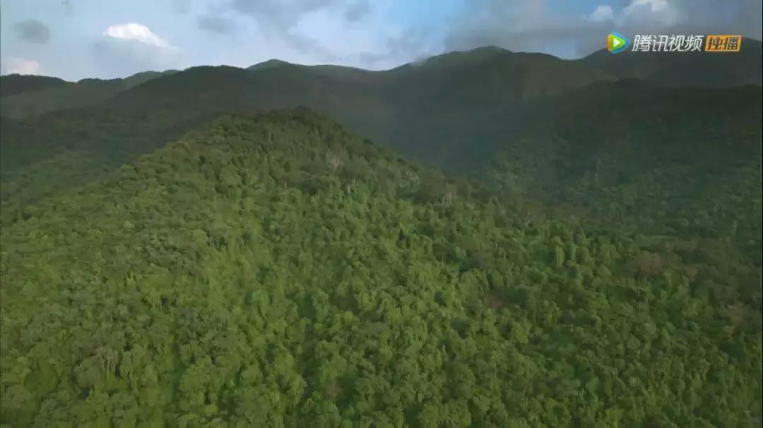 这部BBC纪录片一开播就拿下9.5高分，除了美更培养了孩子的世界观