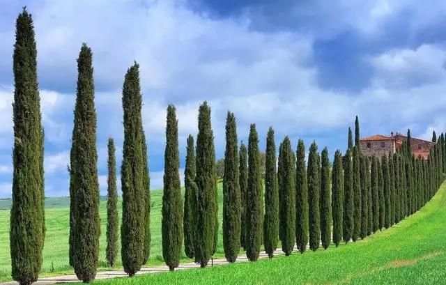 满载托斯卡纳浪漫的保格利小镇，你想不想来