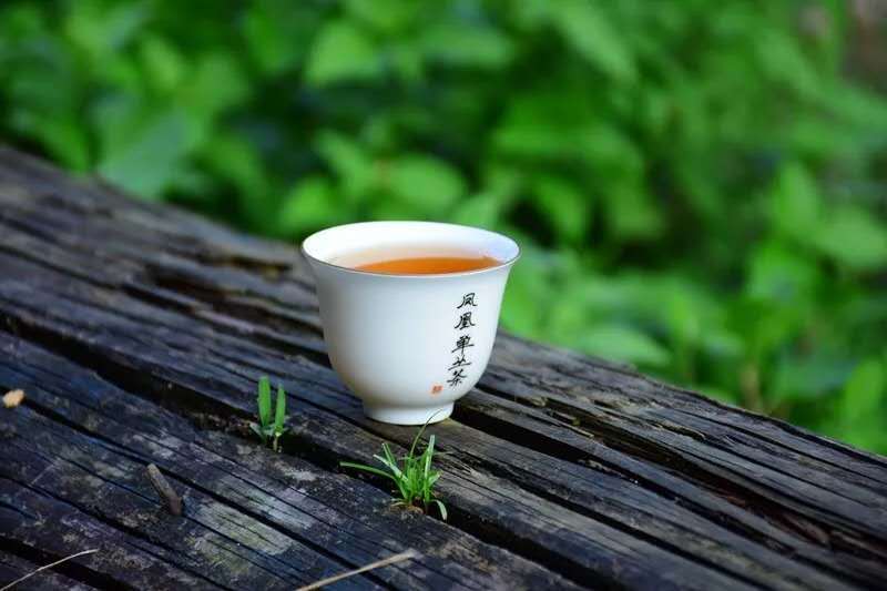 潮州凤凰单丛高香型雪片茶,潮州工夫茶凤凰单丛