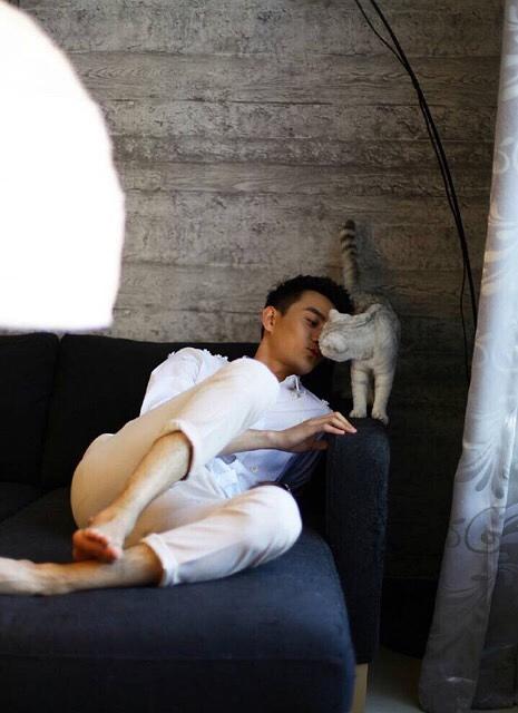 王凯对宋仁宗有着怎样的情怀,王凯一生的经历