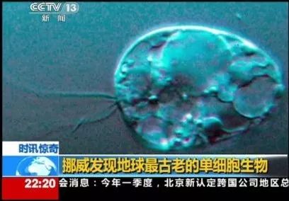 装饰艺术与生活,装饰是艺术