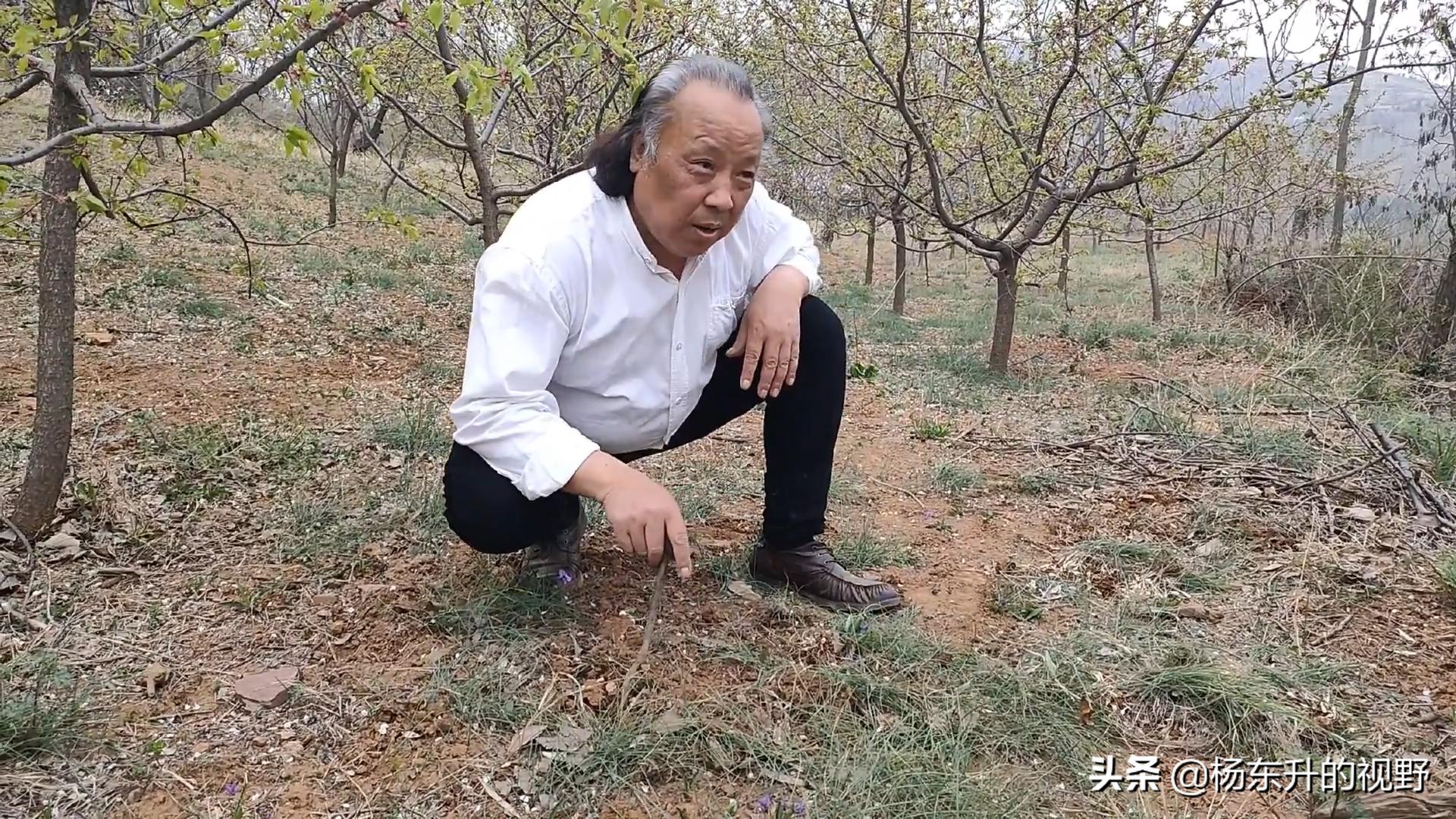 新密徐霞客古道景区,新密徐霞客古道线路