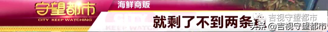 长春市政府新开的海鲜批发市场,长春水产海鲜批发市场