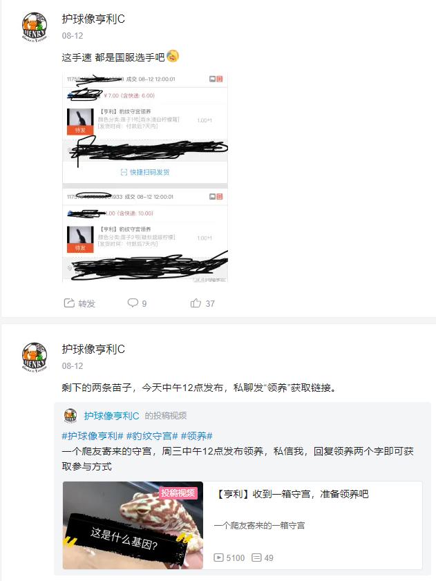 怎么养爬宠守宫,爬宠守宫怎么养