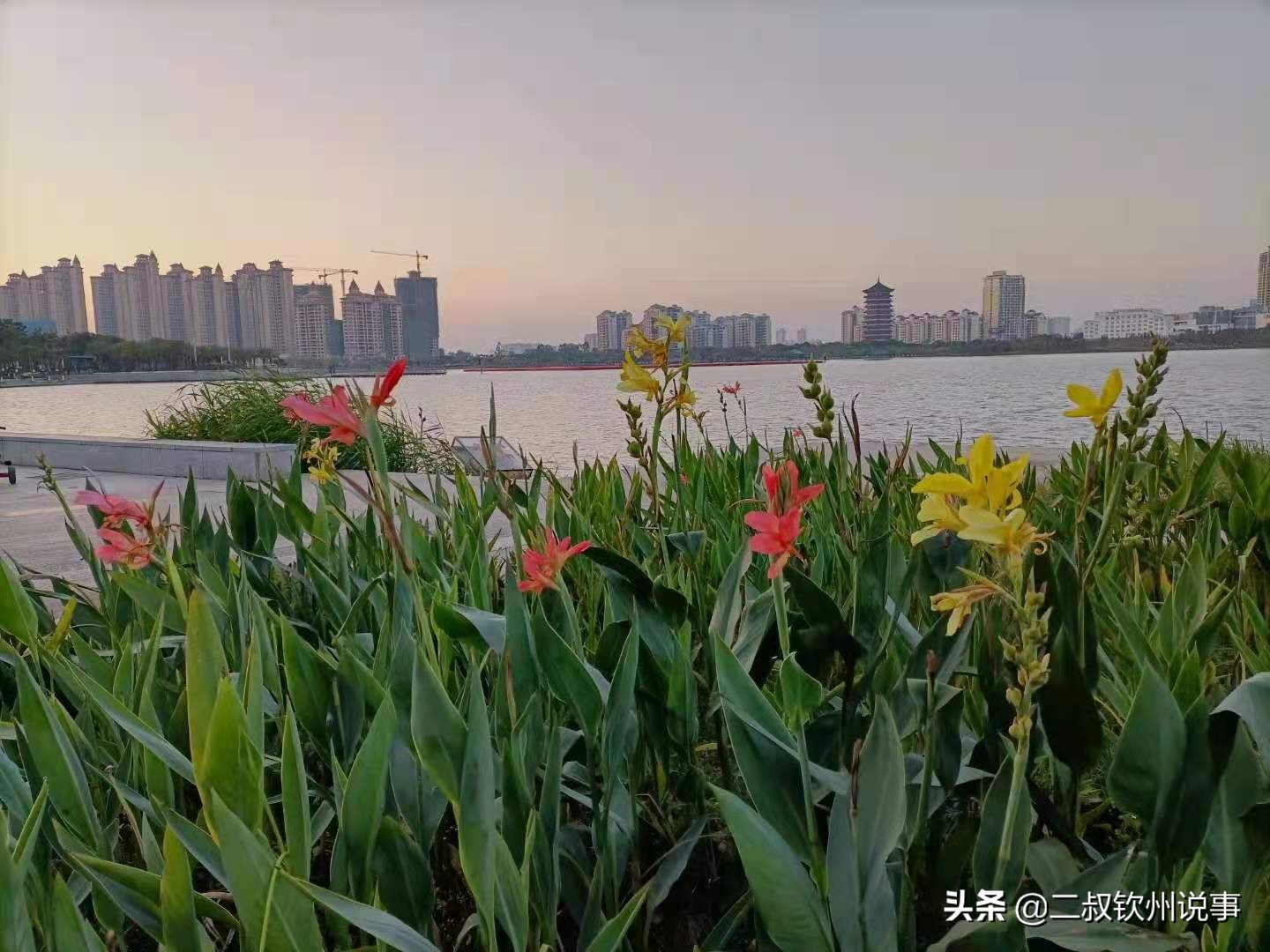 钦州，一个适合生活的地方，也应该有发展的机会