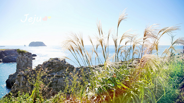 韩国济州岛主题公园图片,去韩国济州岛需要签证吗