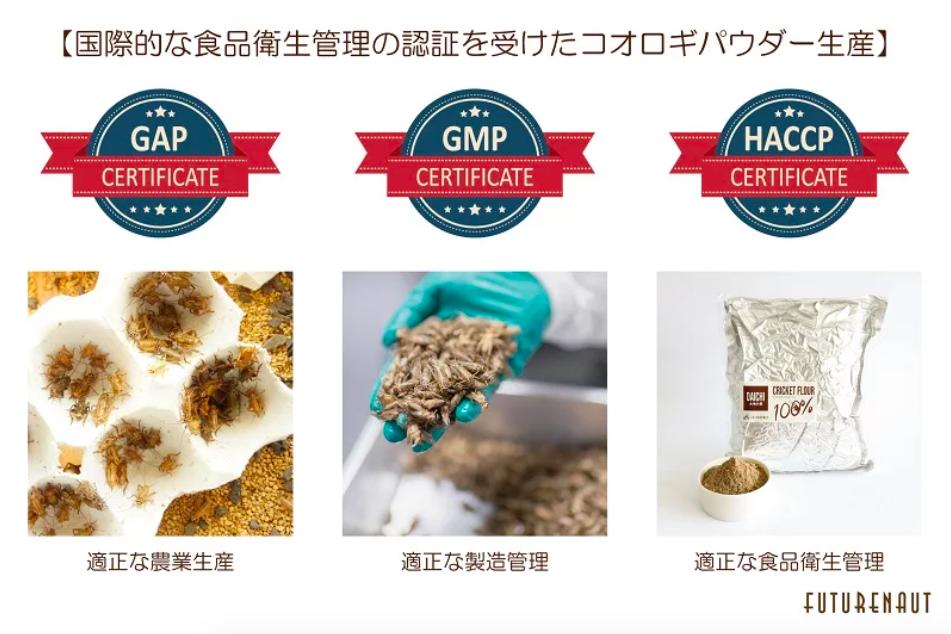 蟋蟀粉做面包,面包是不是用蟋蟀做的