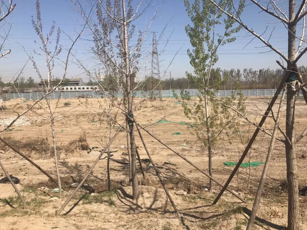 喊了七八年没动静,通州区终于要掏钱,为杨庄小学新建清走“拦路虎”