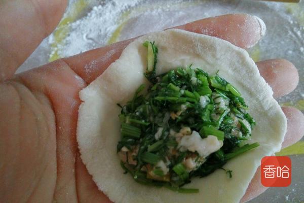 茴香肉饺子怎么调馅简单肉香,茴香肉怎么包饺子