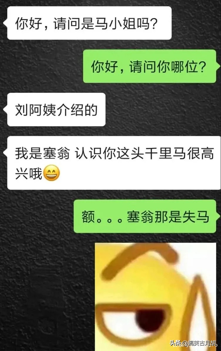 “我是塞翁，认识你这头千里马很高兴”哈哈哈，这届直男太逗了