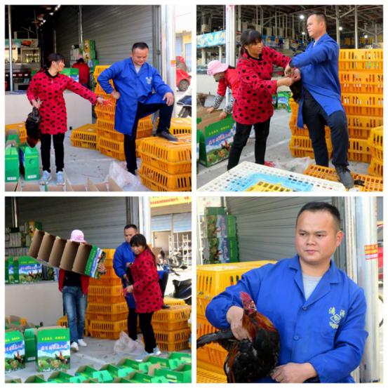 龙胜凤鸡竟“飞”入海鲜市场，“高规格”背后大有文章