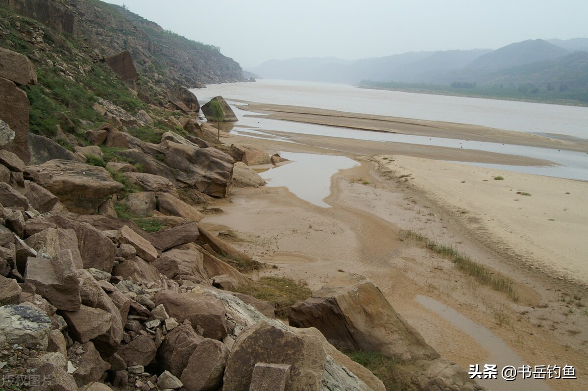 黄河鱼类资源衰退,黄河流域鱼类引种现状及存在问题