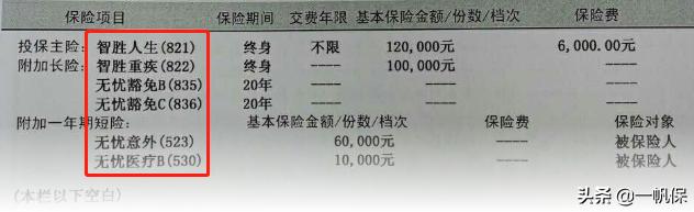 智胜人生10年,智盈人生和智胜人生一句话总结