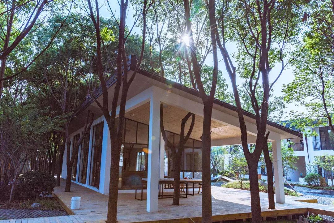 距离上海最近的水乡,上海周边的江南水乡