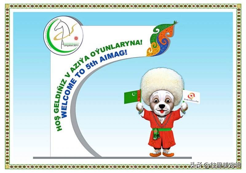 它被土库曼人当成国宝，虽历经几千年演变，原生优良品质依然存在