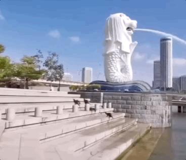 海豚“杰克”在暗礁海域为船只引航41年，爱让我们更懂得善待生命