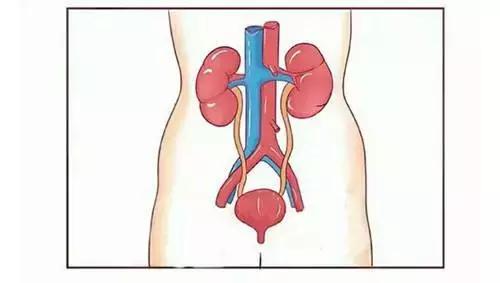 血尿是什么原因会得癌症吗,肾小球血尿到底需不需要治疗