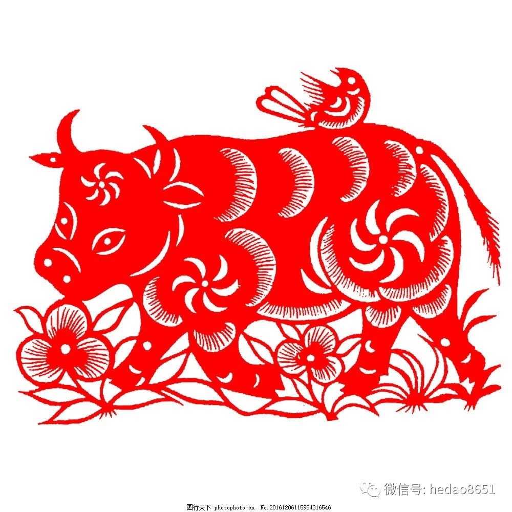 牛有多强,牛最大有多大