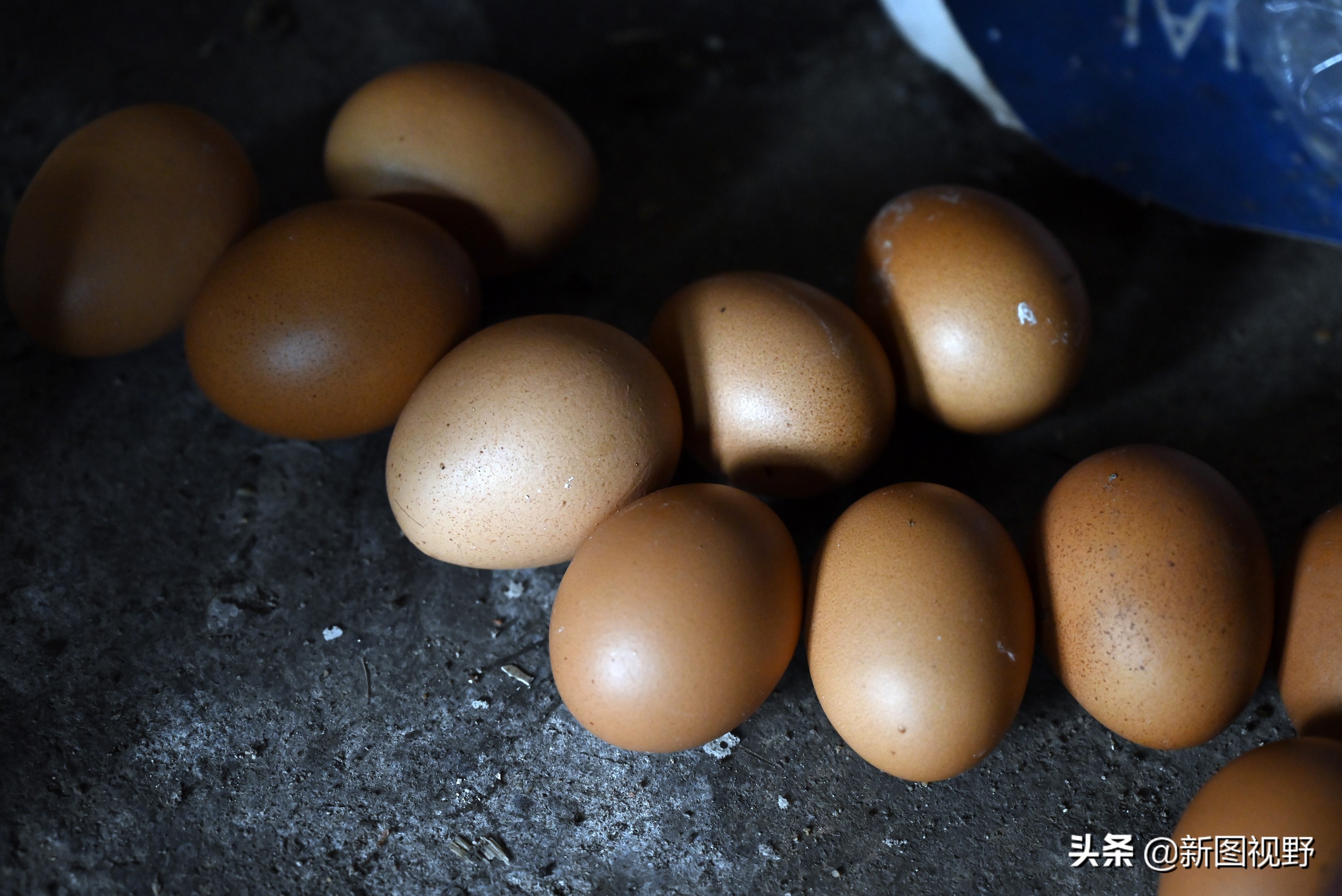 77岁儿子谈长寿经验,100岁母亲插话说出生活秘诀,极具人生智慧