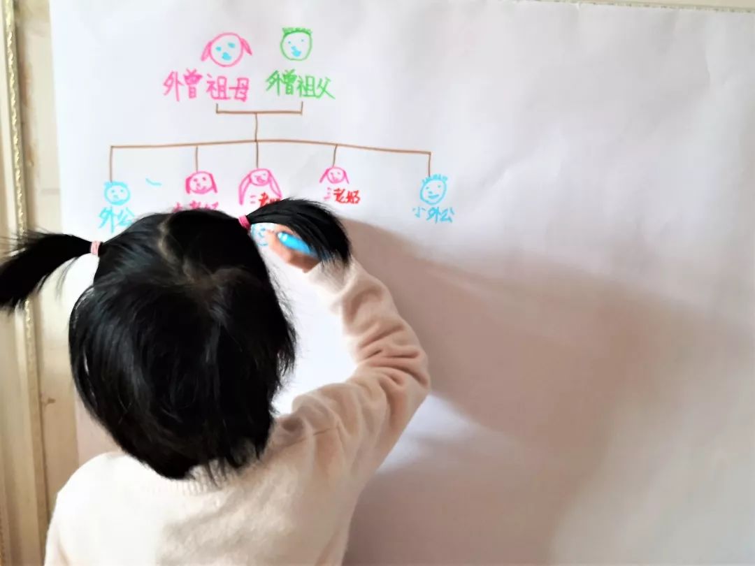 画一幅五代家谱图,画一张自己家的家谱图