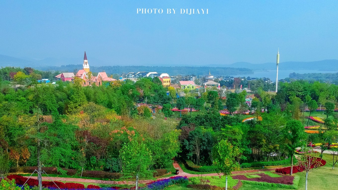 金坛花谷奇缘有什么地方值得打卡,金坛花谷奇缘赏花攻略