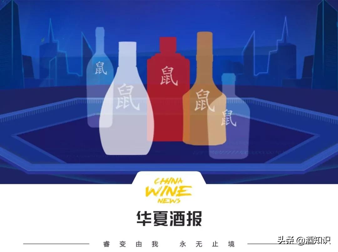 鼠年生肖酒,泸州老窖金鼠生肖酒