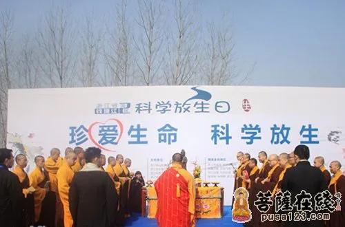 盘点那些离谱的放生行为,私自放生合法吗