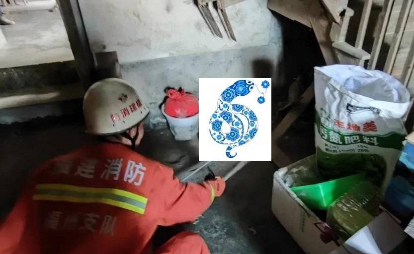 福州38天101起“蛇登门”如此频繁与全球变暖有关吗？如何防蛇？