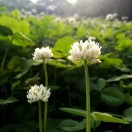 你能搞定二维码吗?2分钟包教包会|#全民求知季