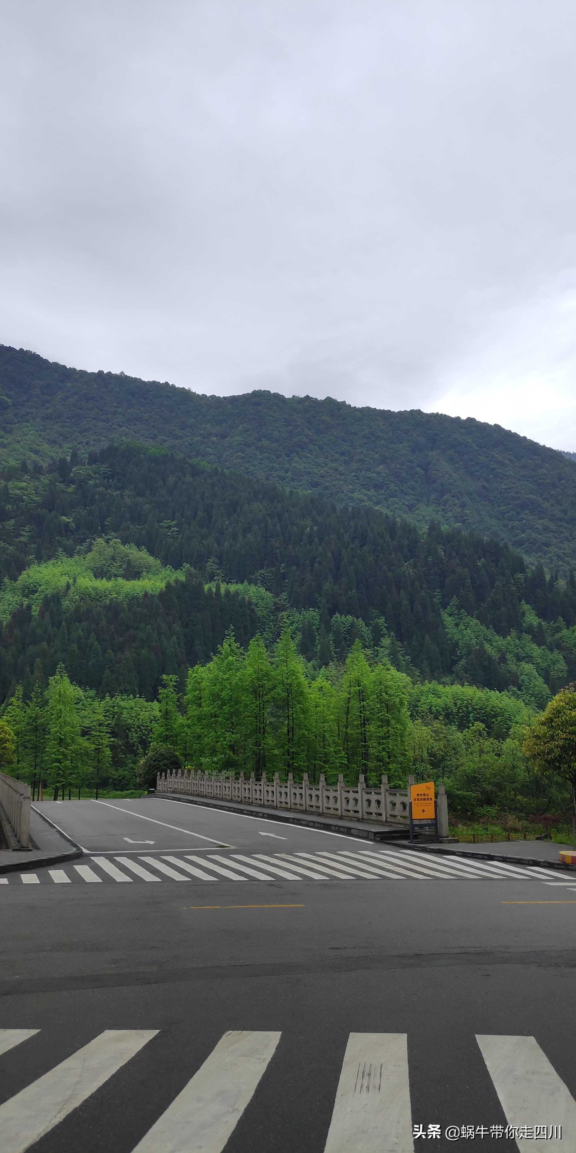 成都去西岭雪山两天一夜旅游团,成都出发雪山旅游